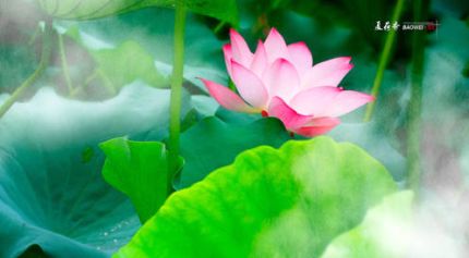 Deviate To change or move away from an original intention or agreed on course of action.相关阅读