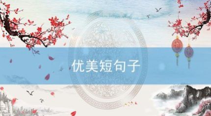 wap相关阅读